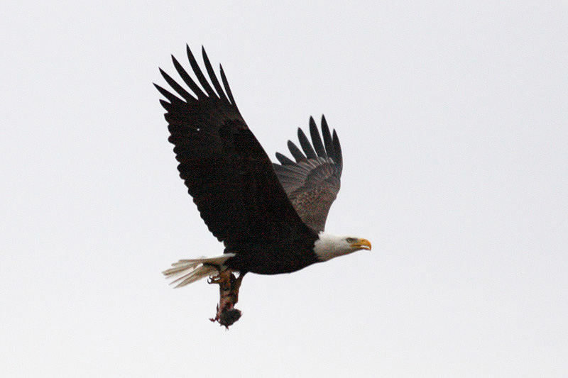 IMG_6459.jpg