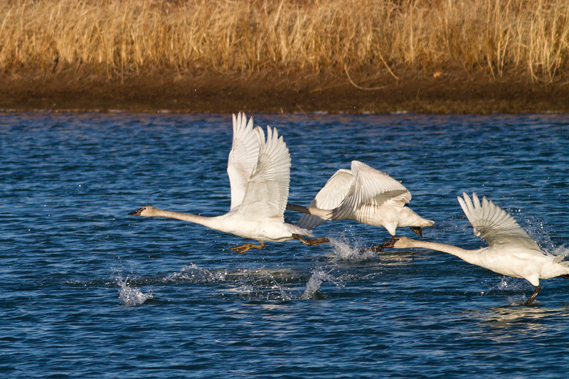 IMG_7881.jpg