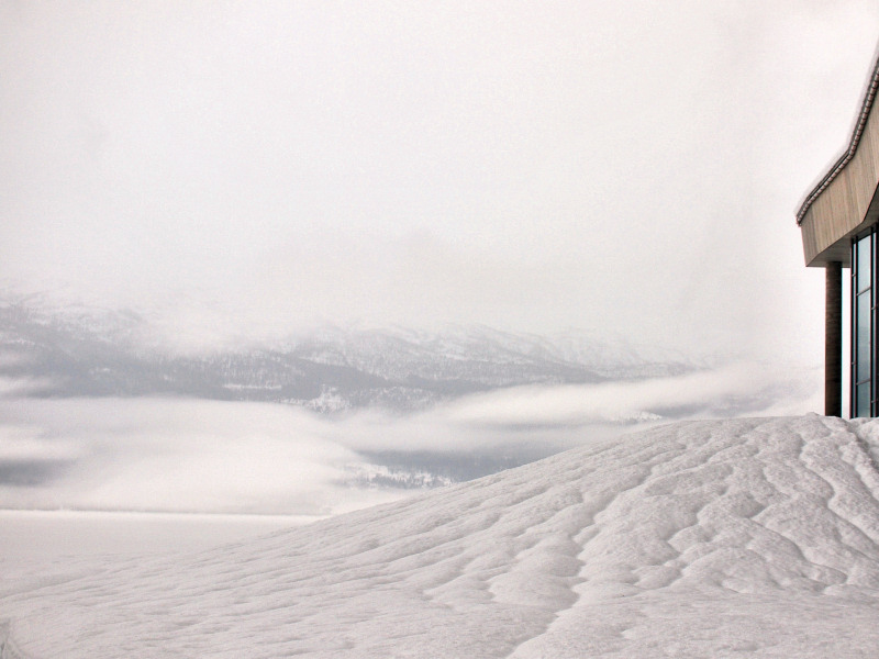 4th-- Almost all white - kleivis