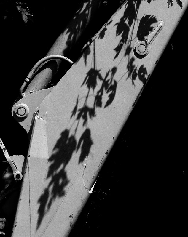 Shadows of leaves -ArtP