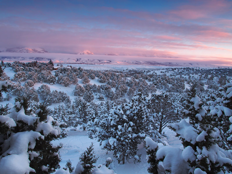 Ruby Mountains - raven15