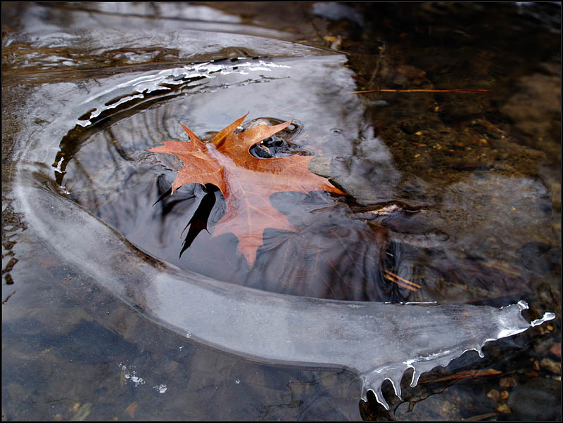 transition from fall to winter - brent