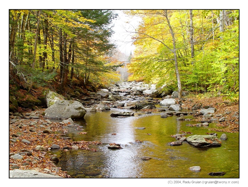 Stream near VT-100  -- Radu Gruian