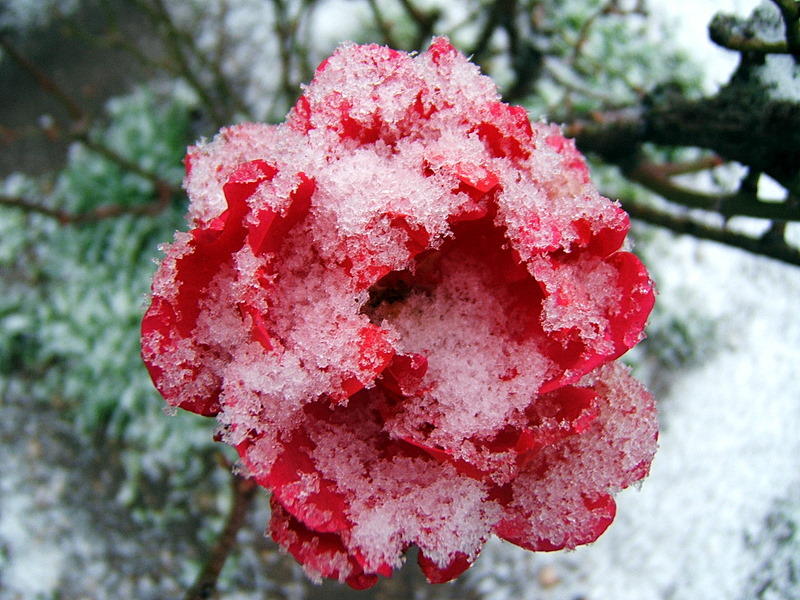 24/1 2007