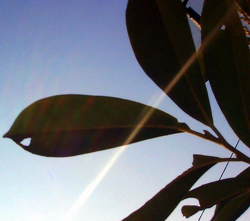 12/3 2007