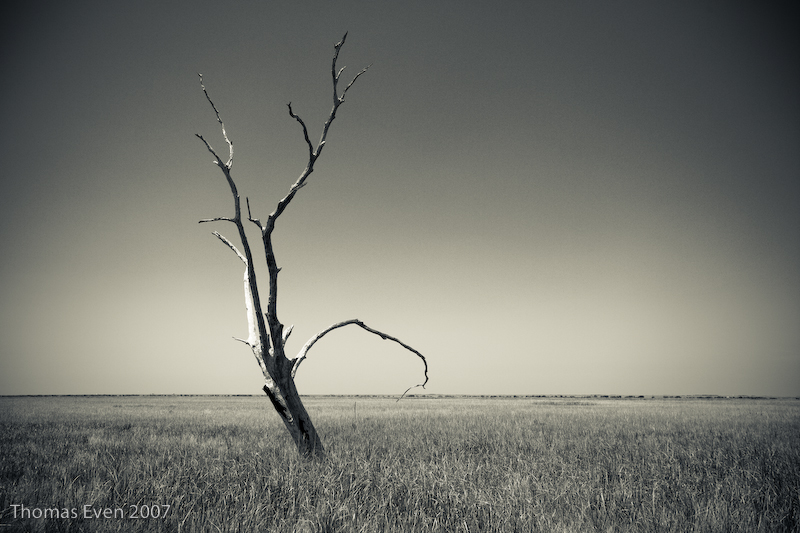 Grand Isle Landscape #27