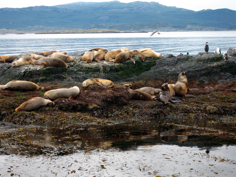 IMG_0782.JPG  Ushuaia