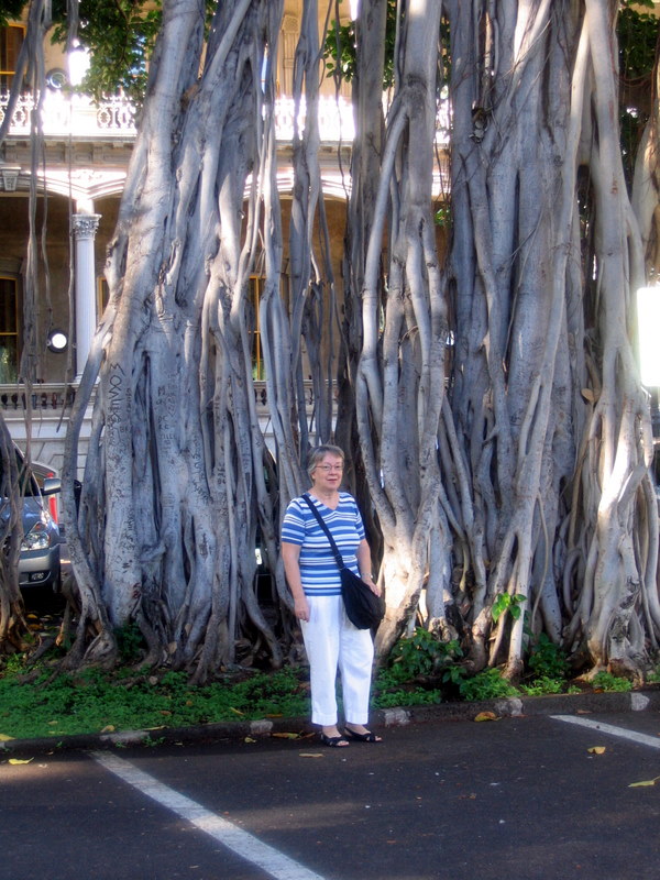 Hawaii09 015.jpg  Honolulu