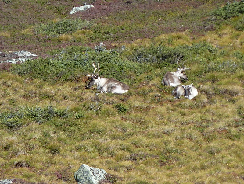 P1000232.JPG
