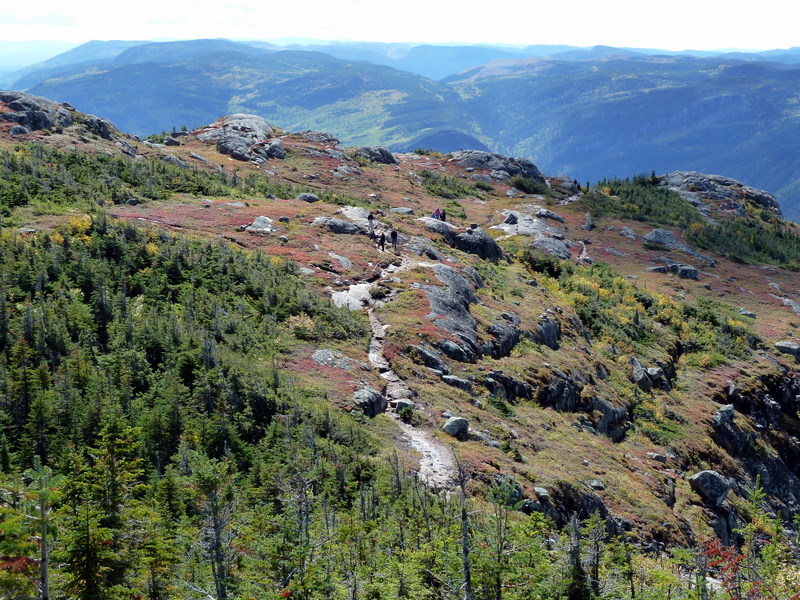P1000241.JPG