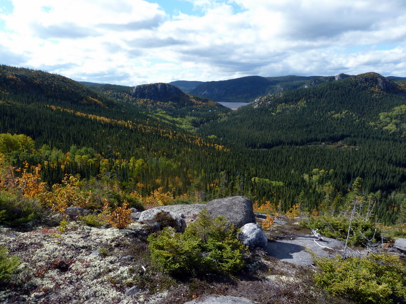 P1000330.JPG