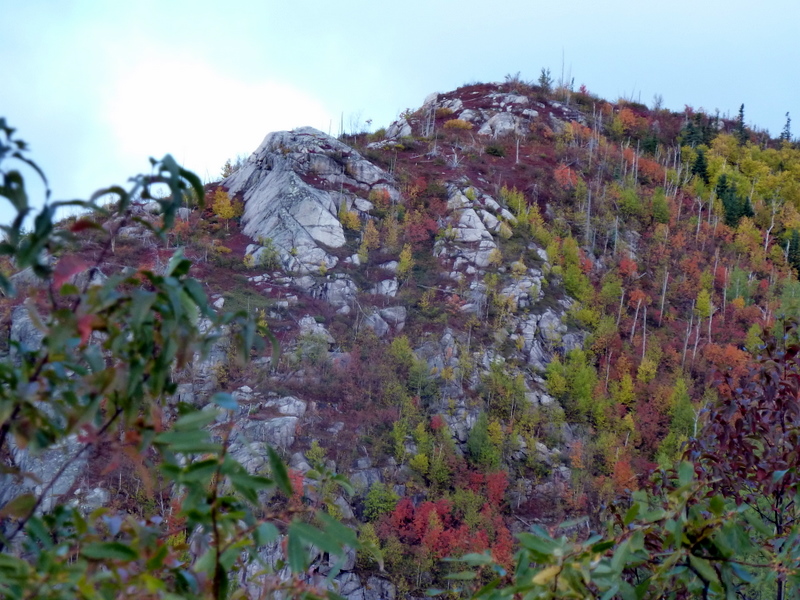 P1000339.JPG