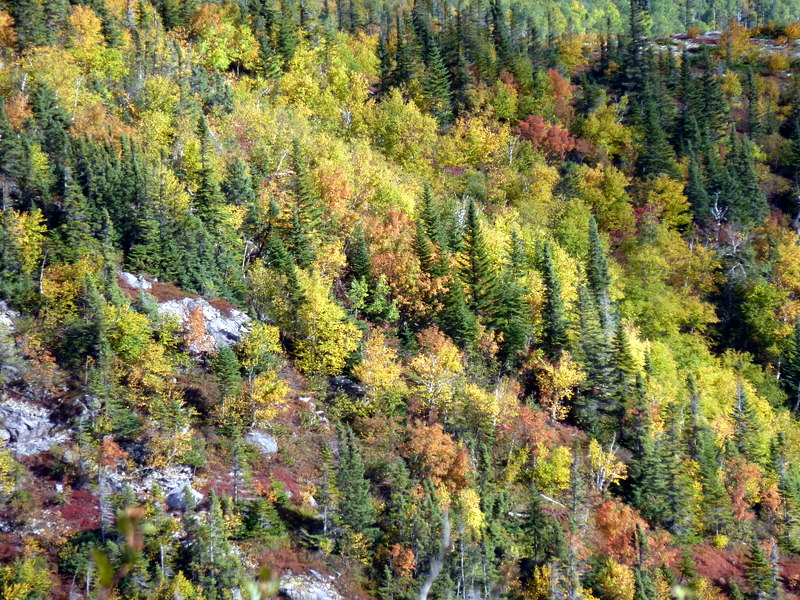P1000352.JPG