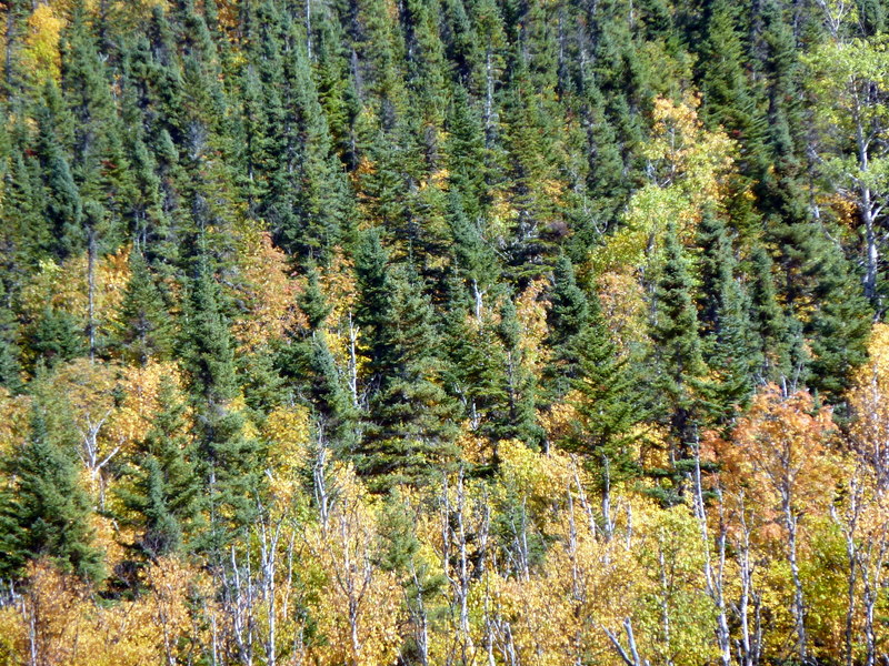 P1000380.JPG