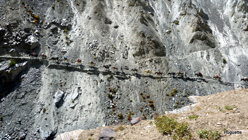 P1010357.JPG