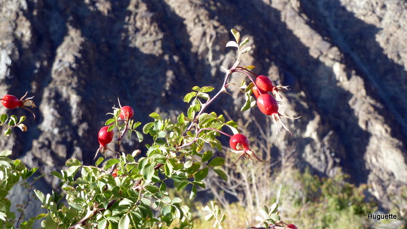 P1010363.JPG