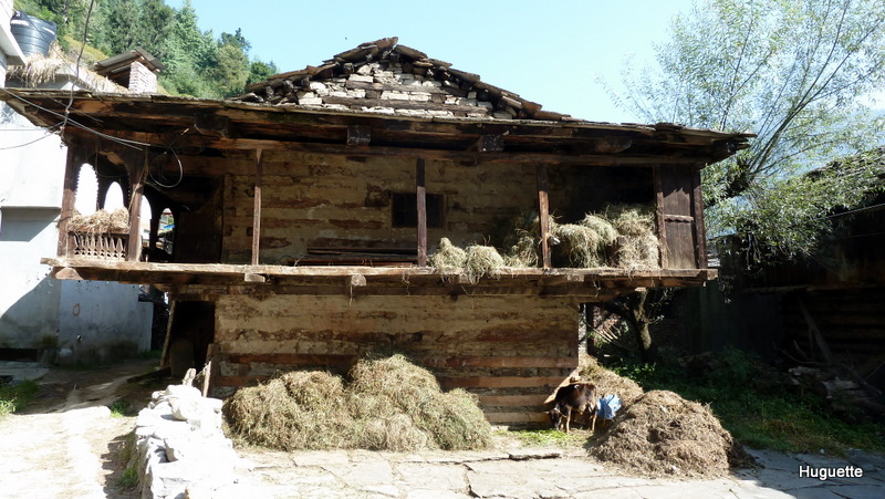 P1010415.JPG