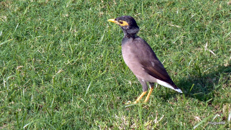 P1010470.JPG