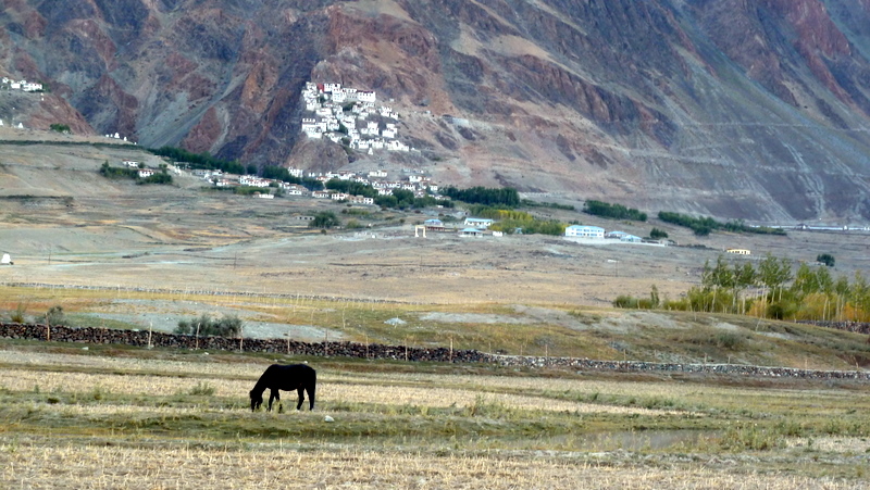 P1010290.JPG