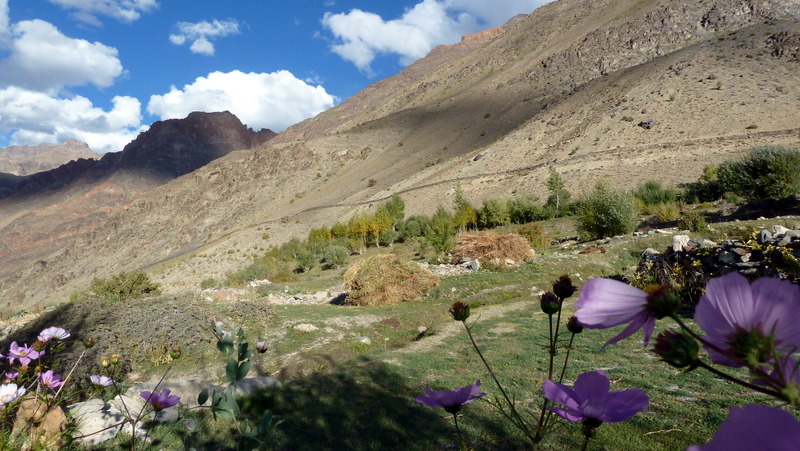 P1010360.JPG