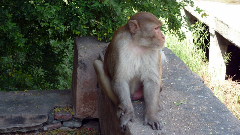 P1010477.JPG