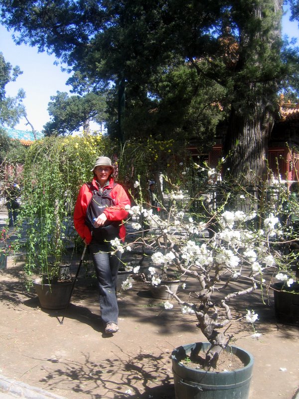 Lise dans les jardins
