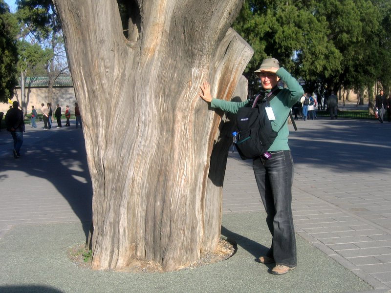 Lise et gros arbre