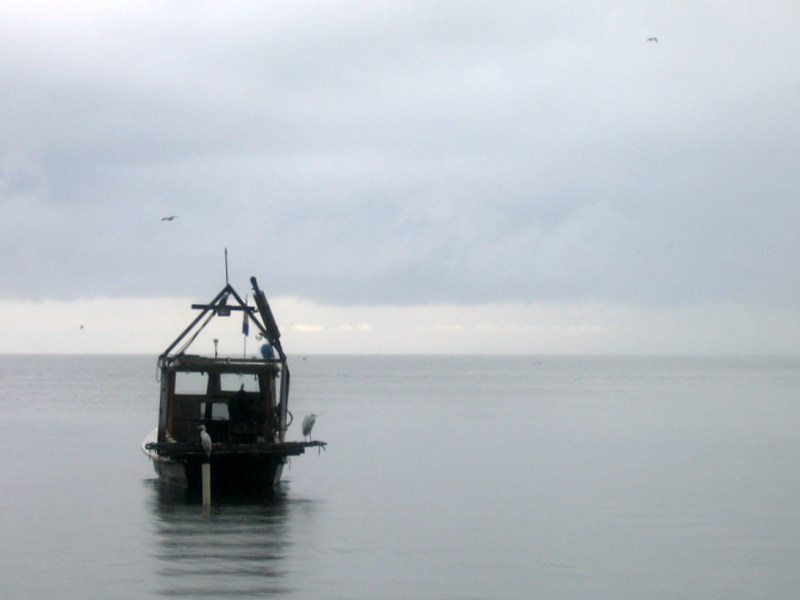 IMG_3717.JPG