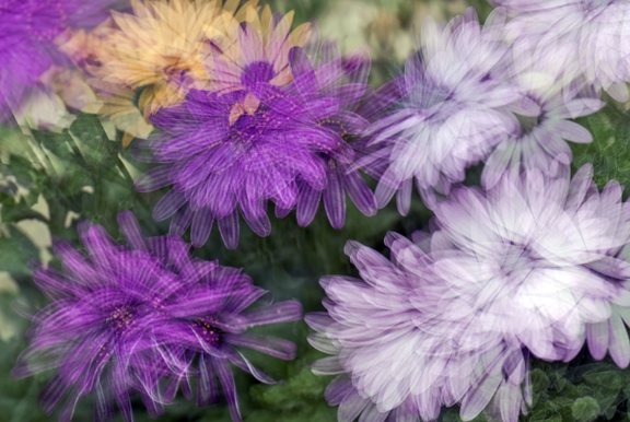 Multiple Exposure