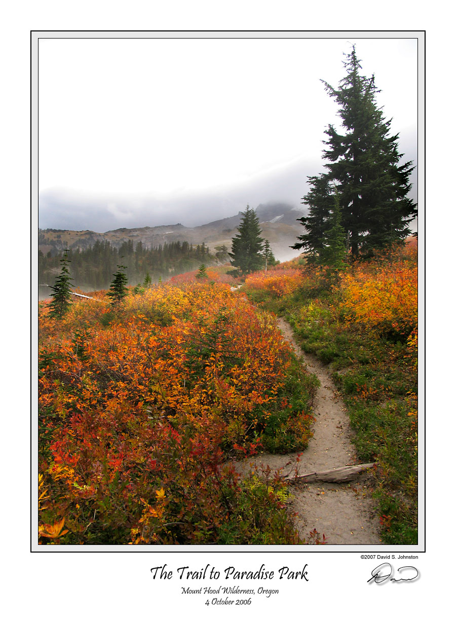 Trail to Paradise Park.jpg