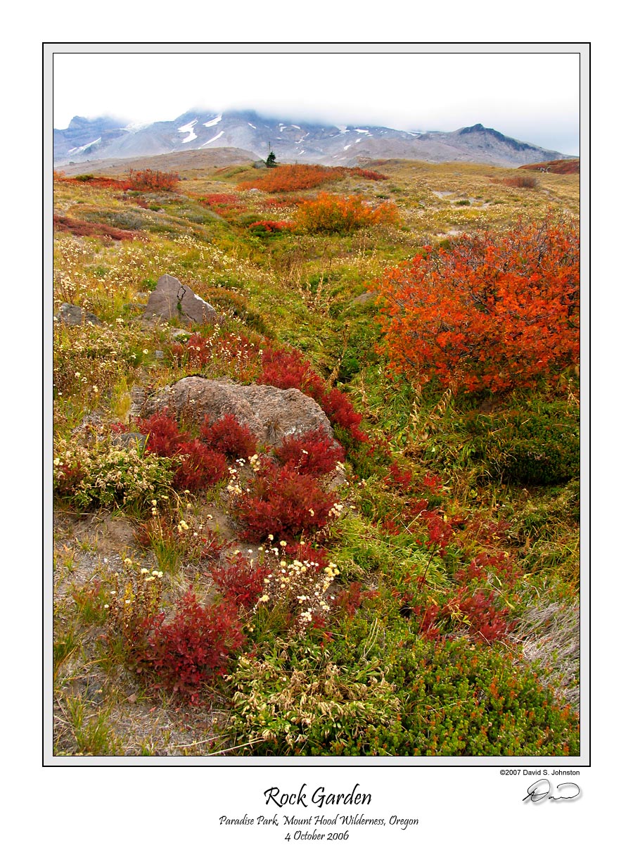 Rock Garden Paradise Park.jpg