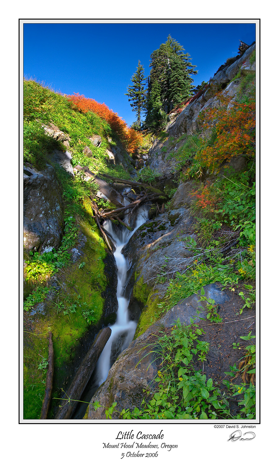 Meadows Cascade.jpg