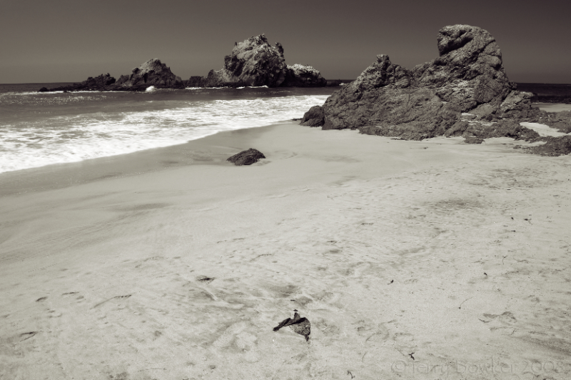 Pfeiffer Beach