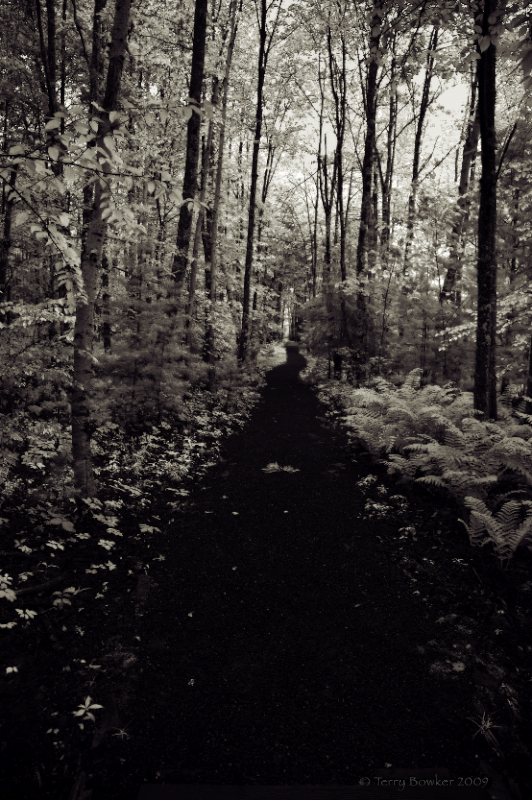 Path