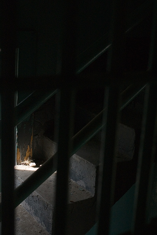 stray light