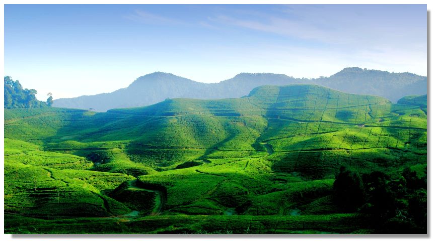 Morning view of Puncak 2