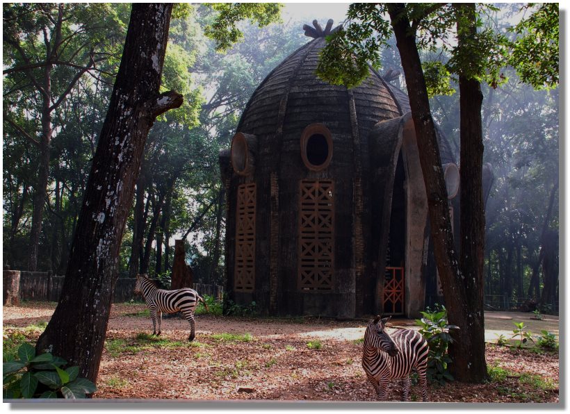 Zebras house