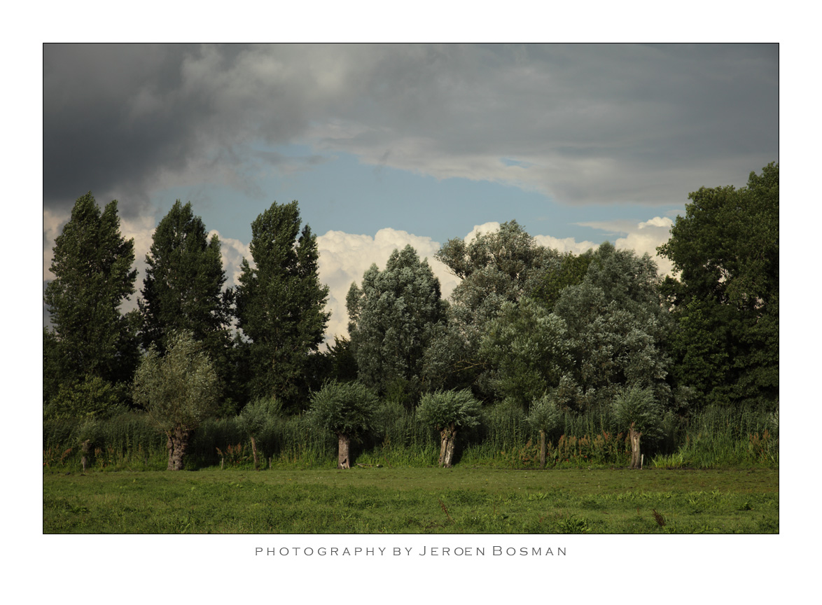 Between storms