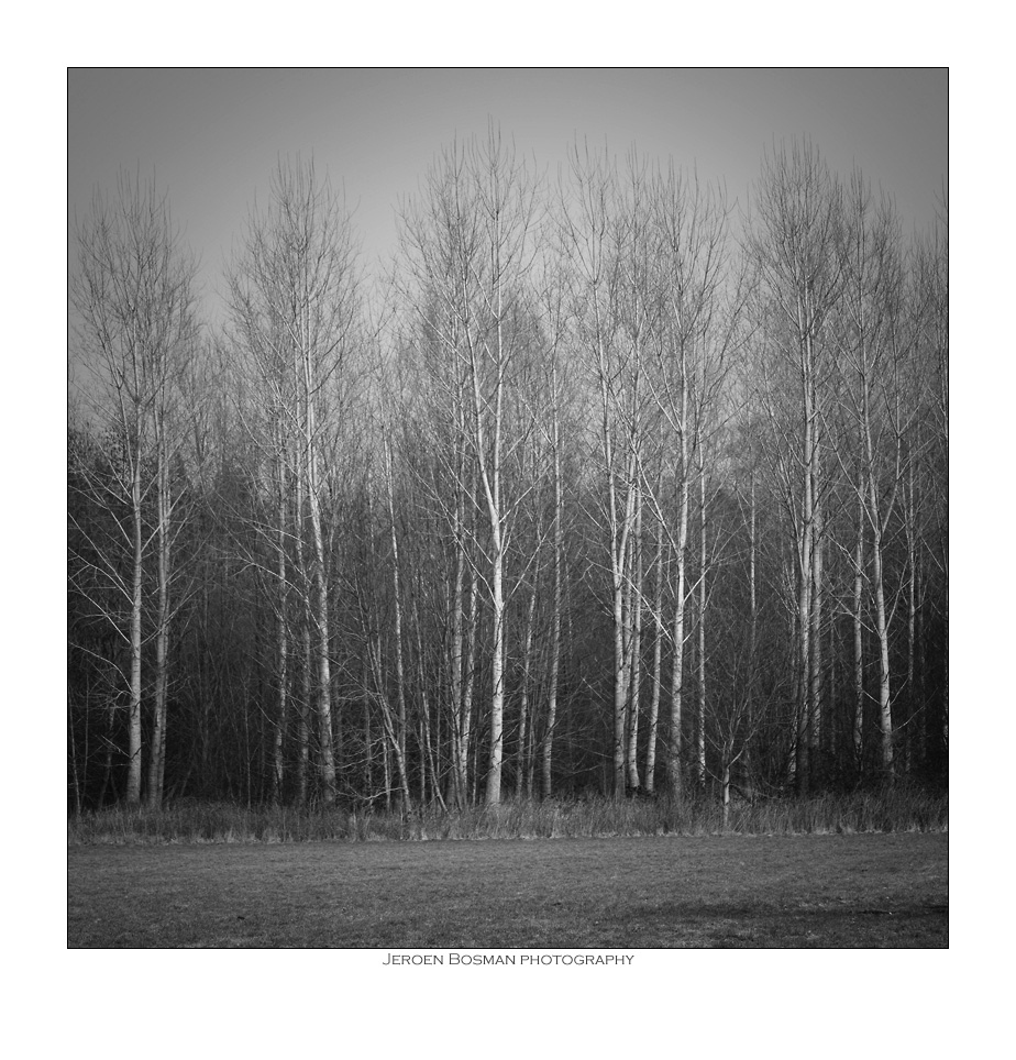 Sense of direction