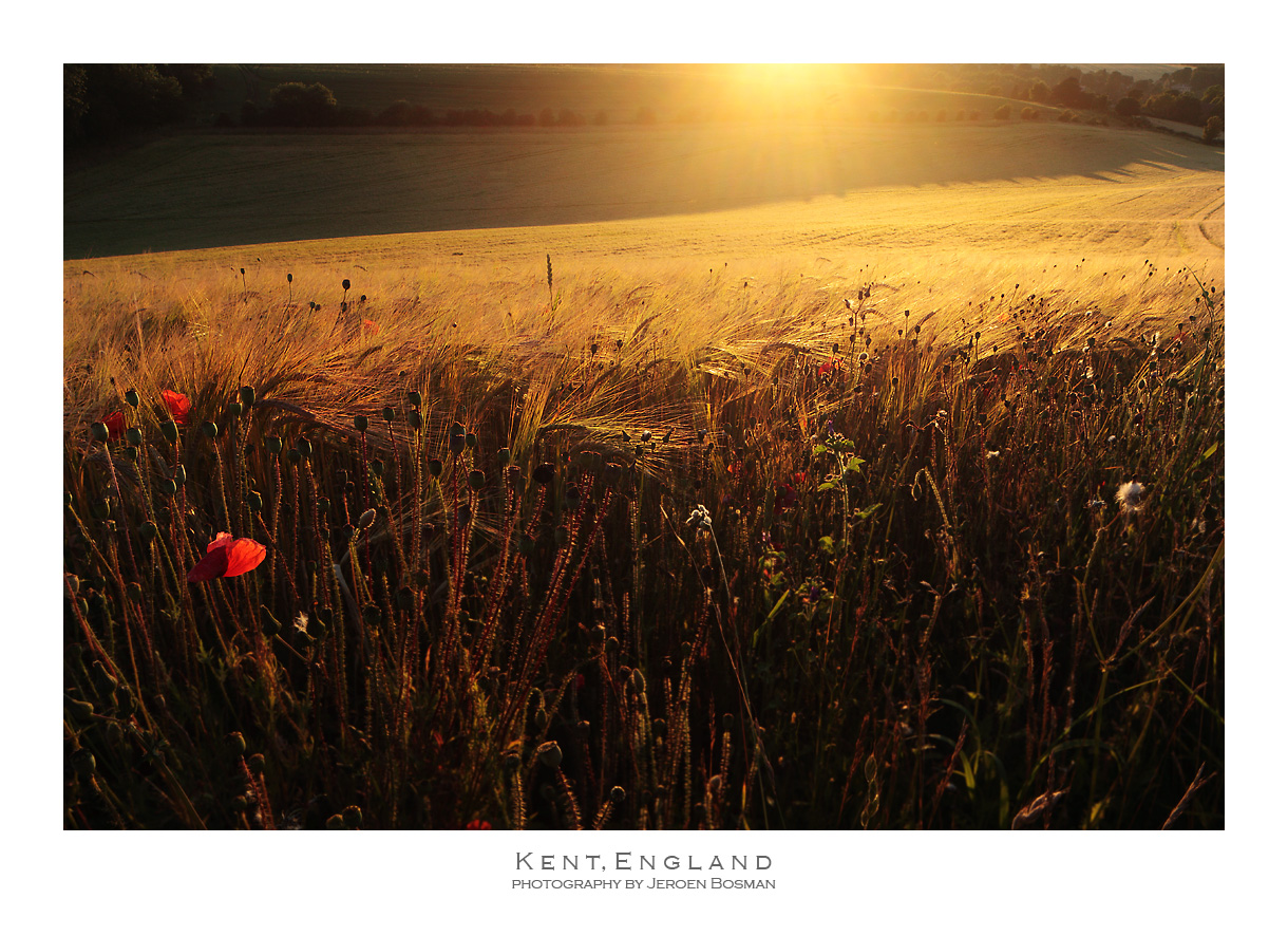 The depth of the field