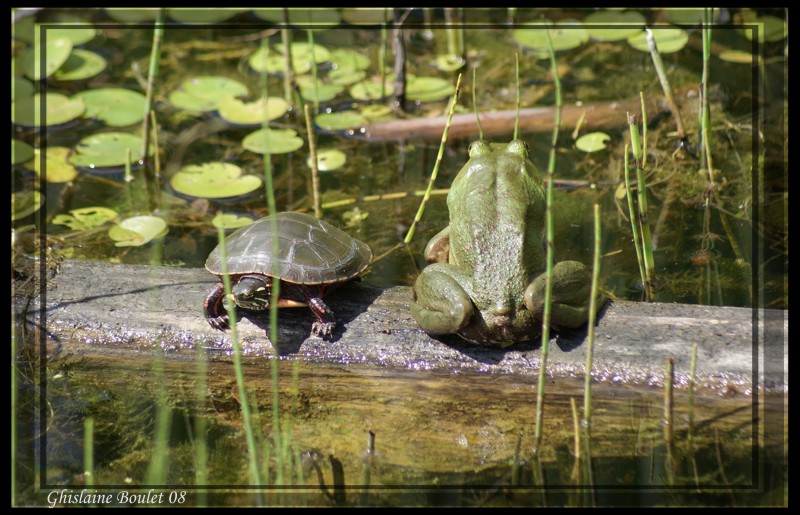Un beau couple!