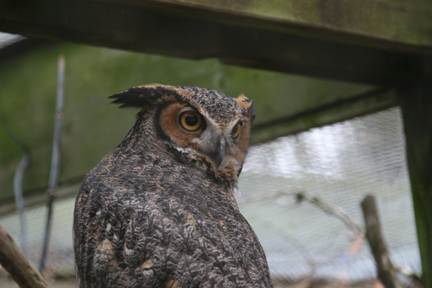 zoo 127.jpg