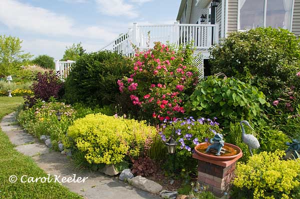 Another View of Lower Sunroom Garden