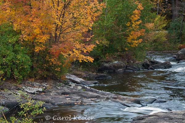 Black River Color