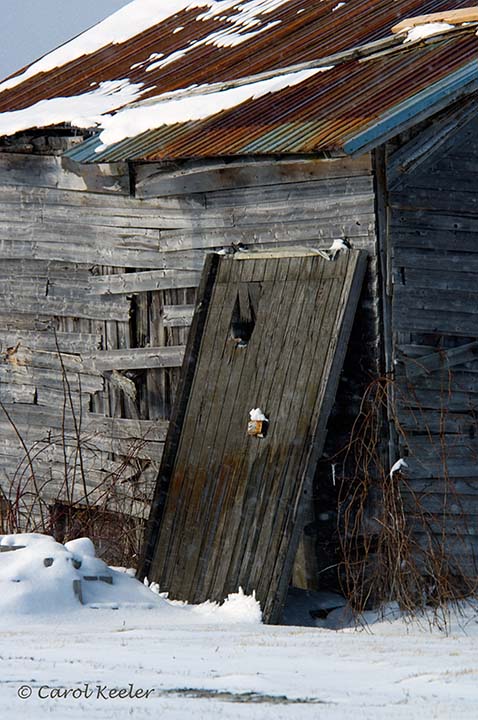 Falling Down Shed