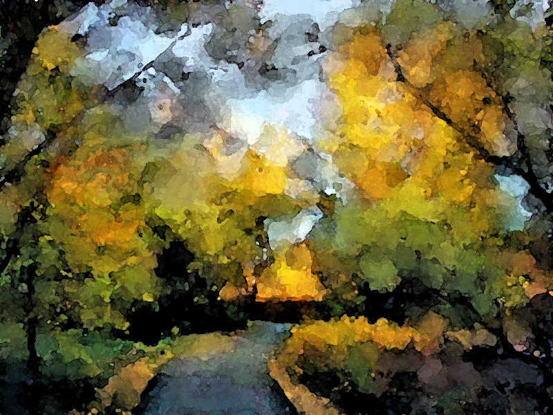 pswatercolor fallpic-e4-enh-imbr-pt-acapbrbr-2.jpg