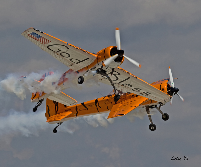TWIN TIGERS - Butterfly maneuver IMG_2392 
