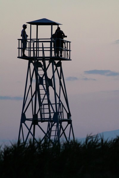 Bendimahi Marshes