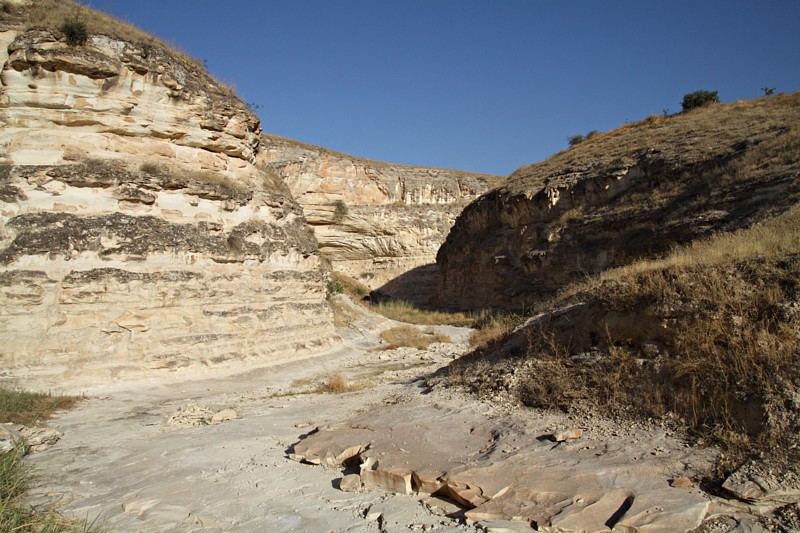 Main Wadi