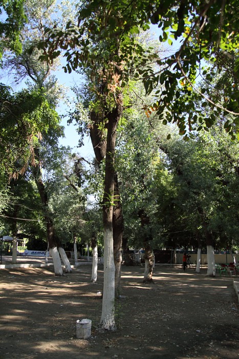 Glhane Tea Gardens